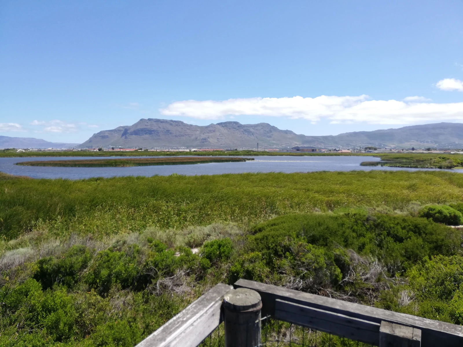 Rondevlei Nature Reserve, Cape Town South Africa