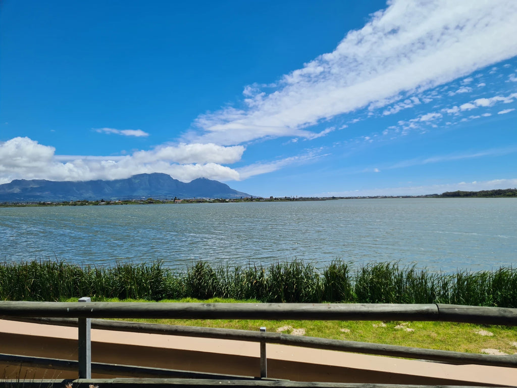 Rondevlei Nature Reserve, Cape Town South Africa