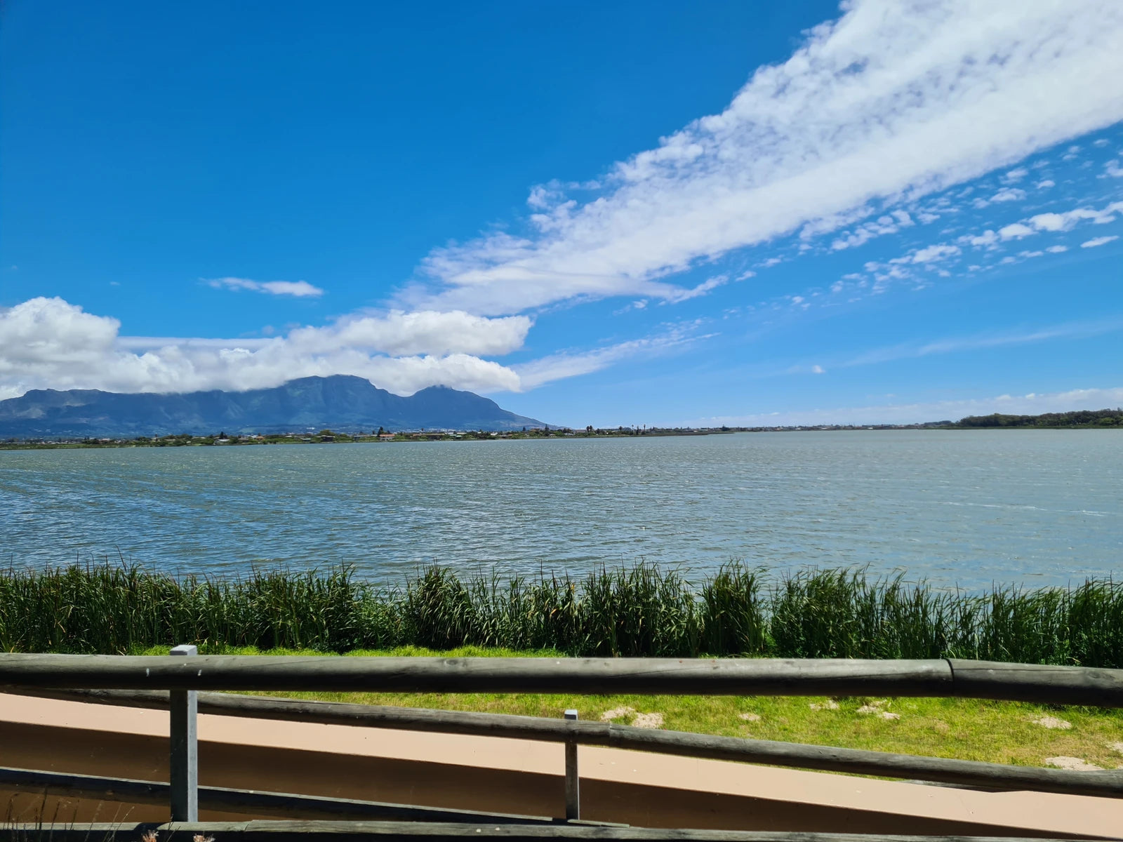 Rondevlei Nature Reserve, Cape Town South Africa