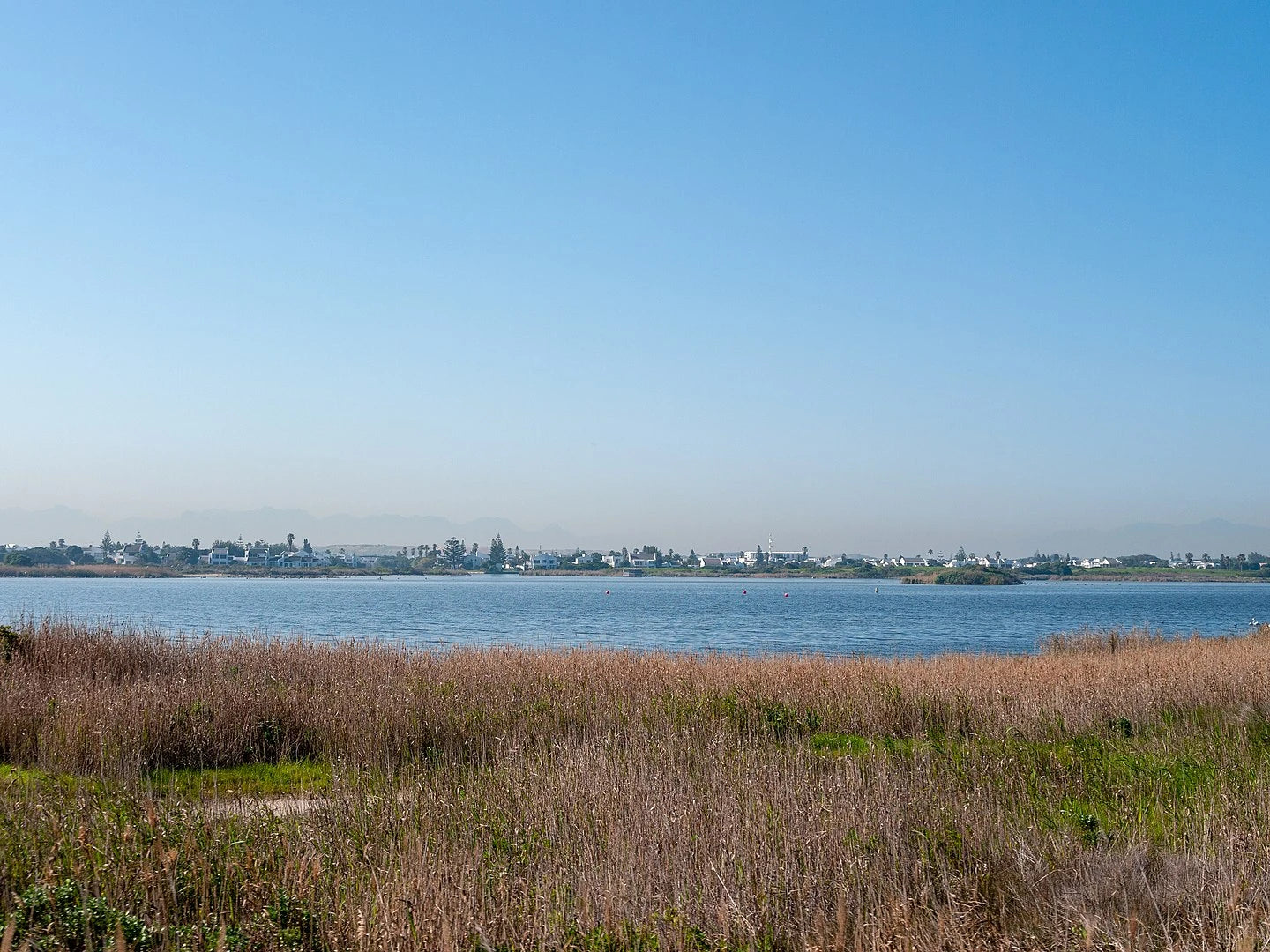Rondevlei Nature Reserve, Cape Town South Africa