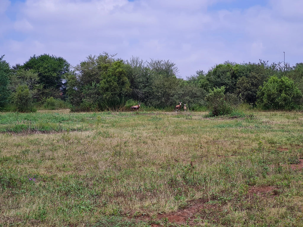 Rooihuiskraal Historical Terrain, Centurion South Africa