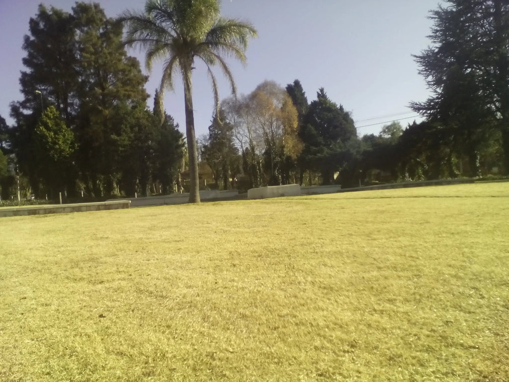 Rose Park, Lenasia South Africa