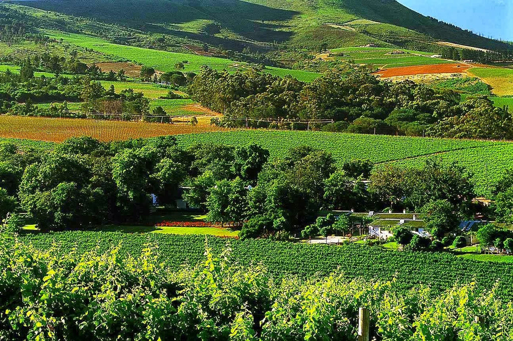 Rust en Vrede Wine Estate, Stellenbosch South Africa