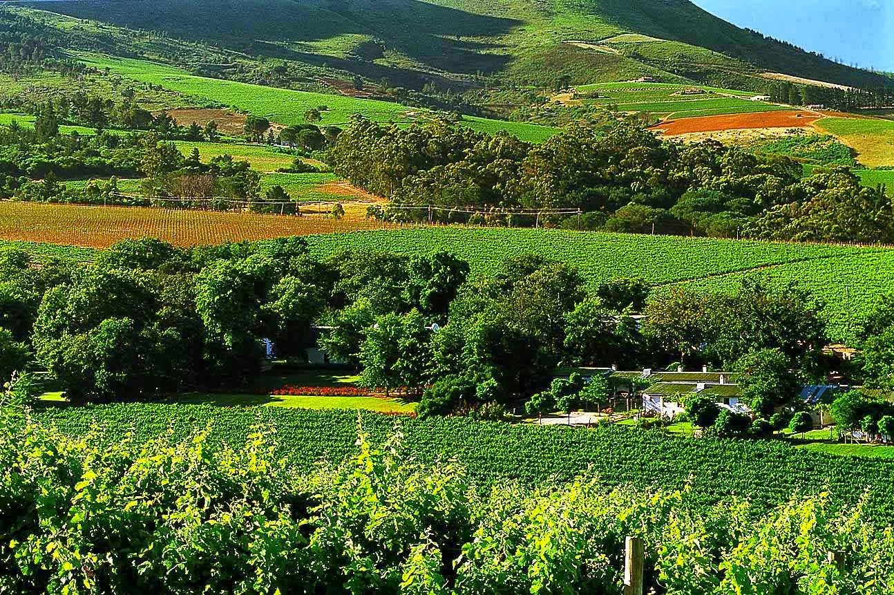 Rust en Vrede Wine Estate, Stellenbosch South Africa
