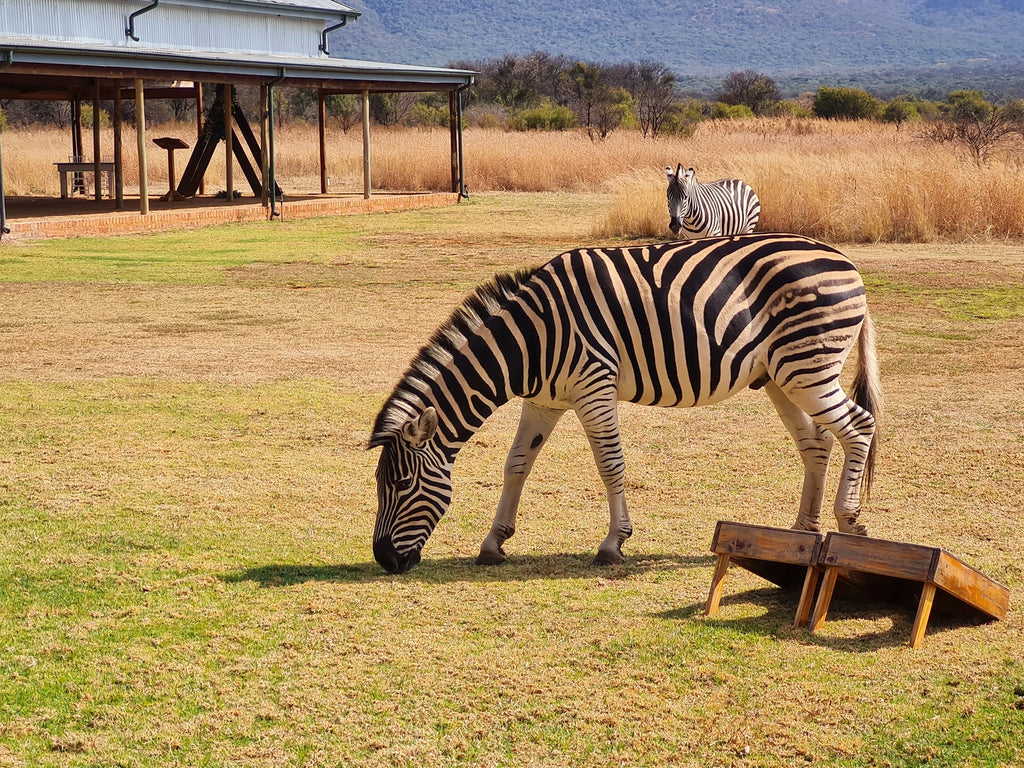 Rustig, Hekpoort South Africa