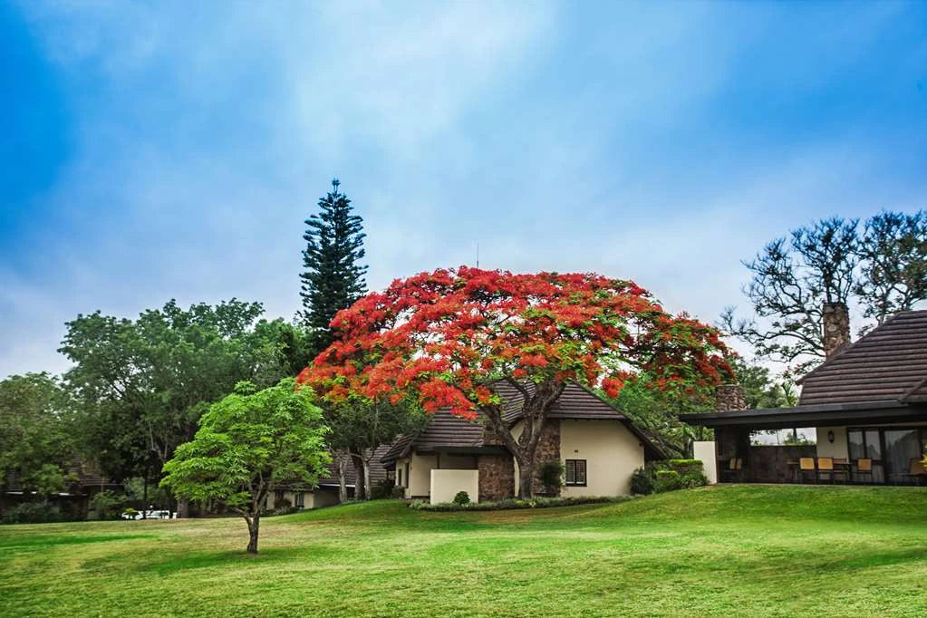 Sabi River Sun Resort, Hazyview South Africa