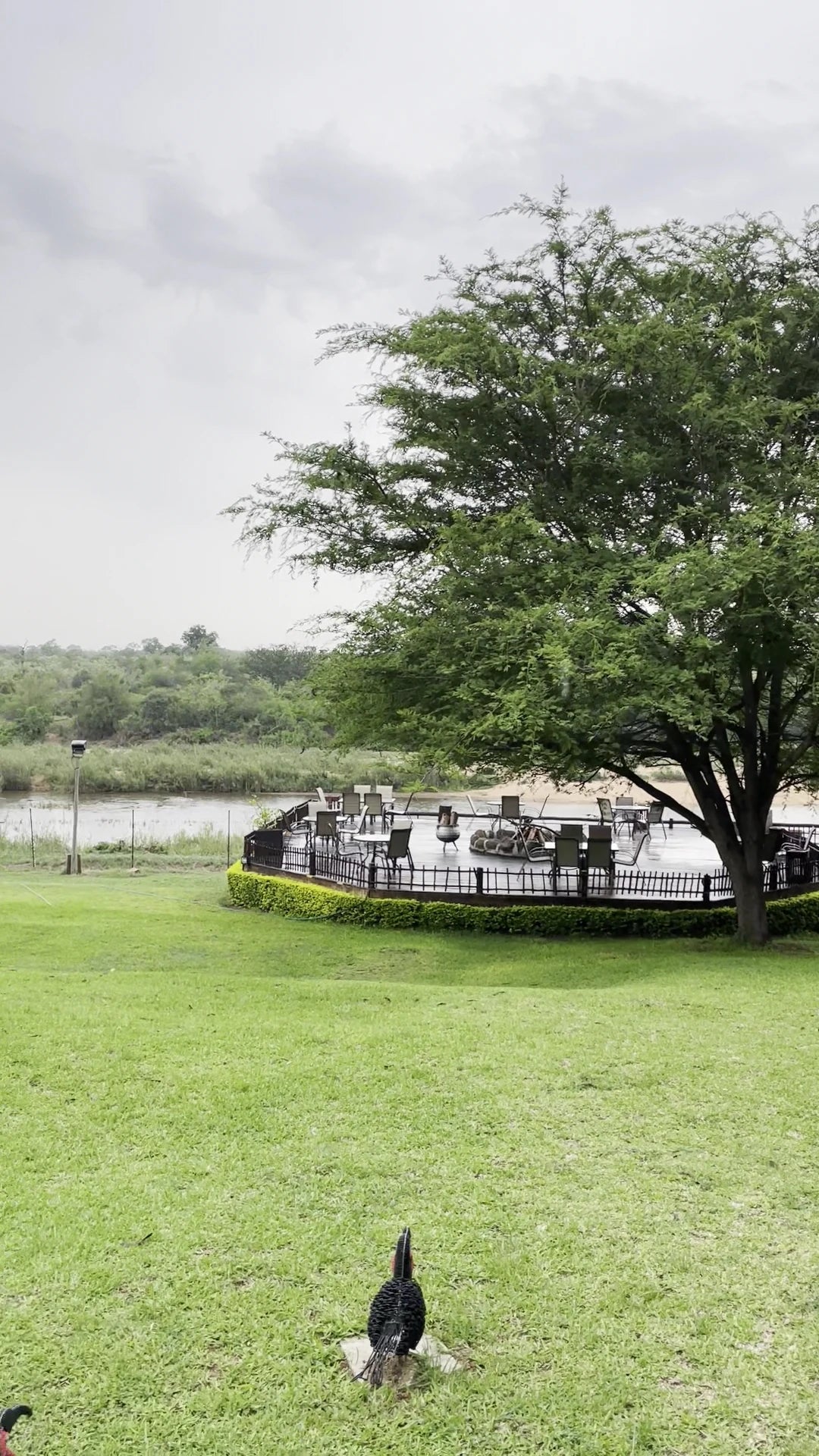 Sabie River Bush Lodge, Hazyview South Africa
