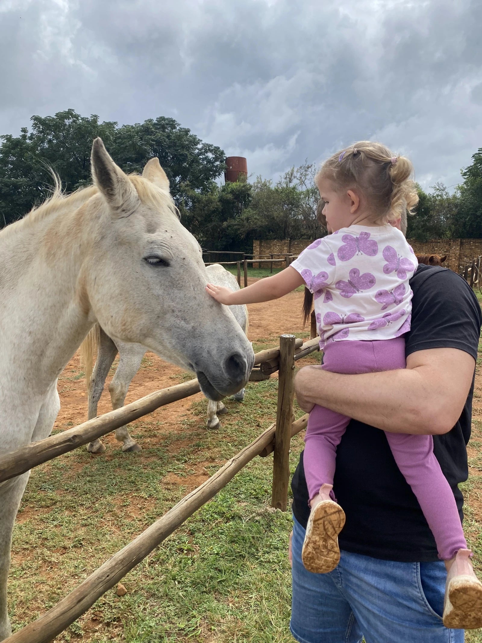 Saddle Creek Adventures, Hekpoort South Africa