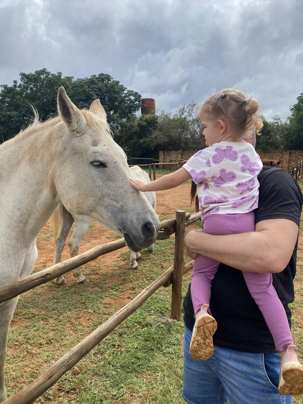 Saddle Creek Adventures, Hekpoort South Africa