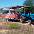 Safari Ostrich Farm, Oudtshoorn South Africa