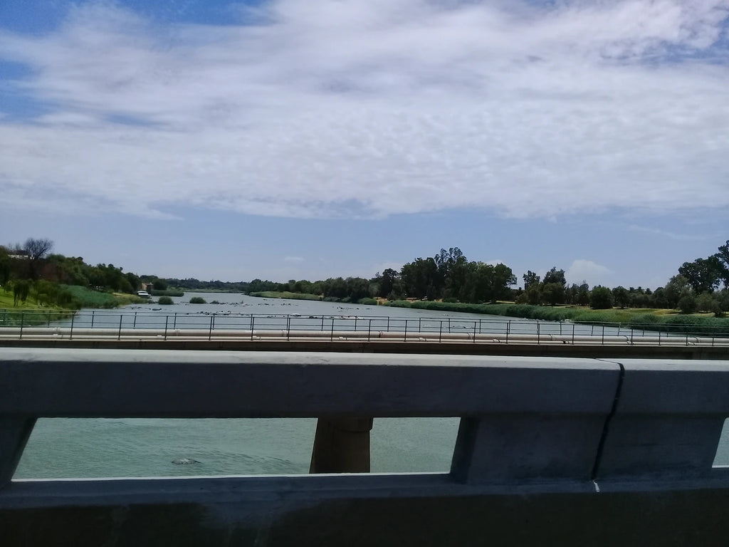 Sakkie se Arkie, Upington South Africa
