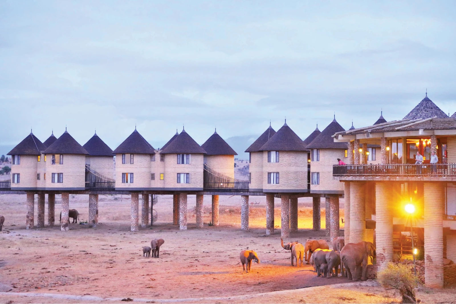 Salt Lick Safari Lodge, Tsavo Kenya