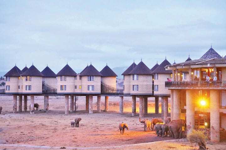 Salt Lick Safari Lodge