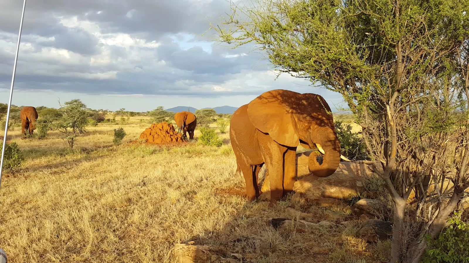 Samburu Sopa Lodge, 
Unnamed street Kenya