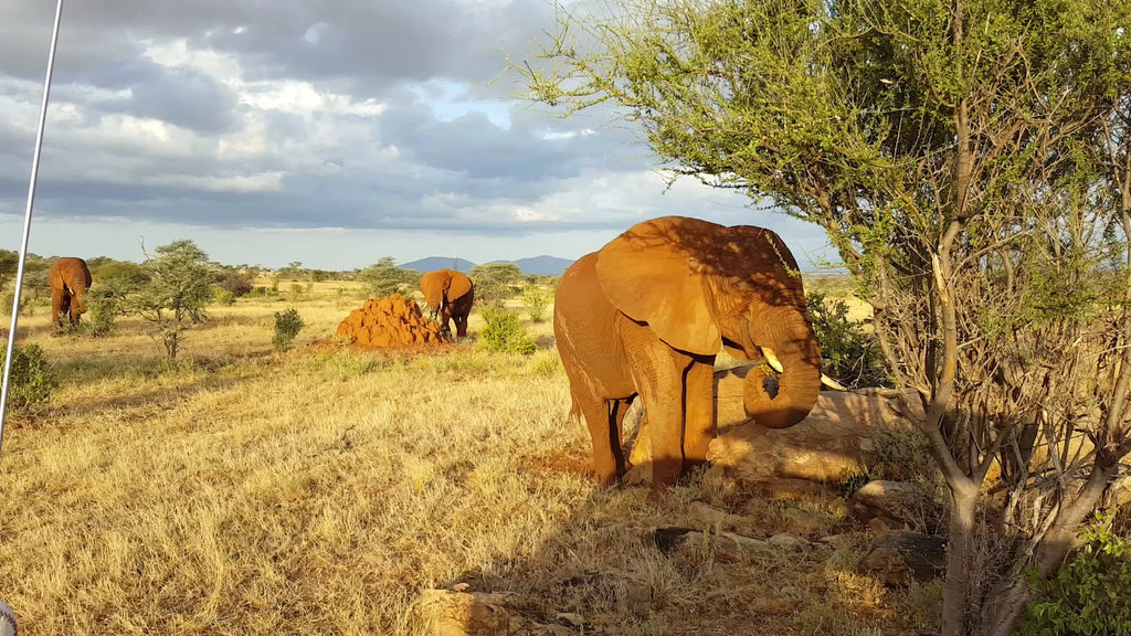 Samburu Sopa Lodge, 
Unnamed street Kenya