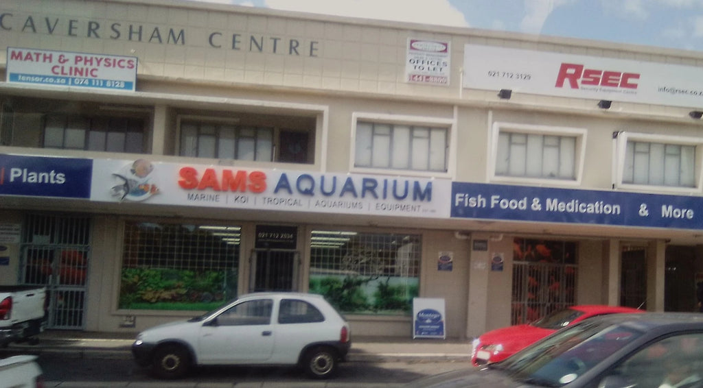 Sam's Aquarium, Cape Town South Africa