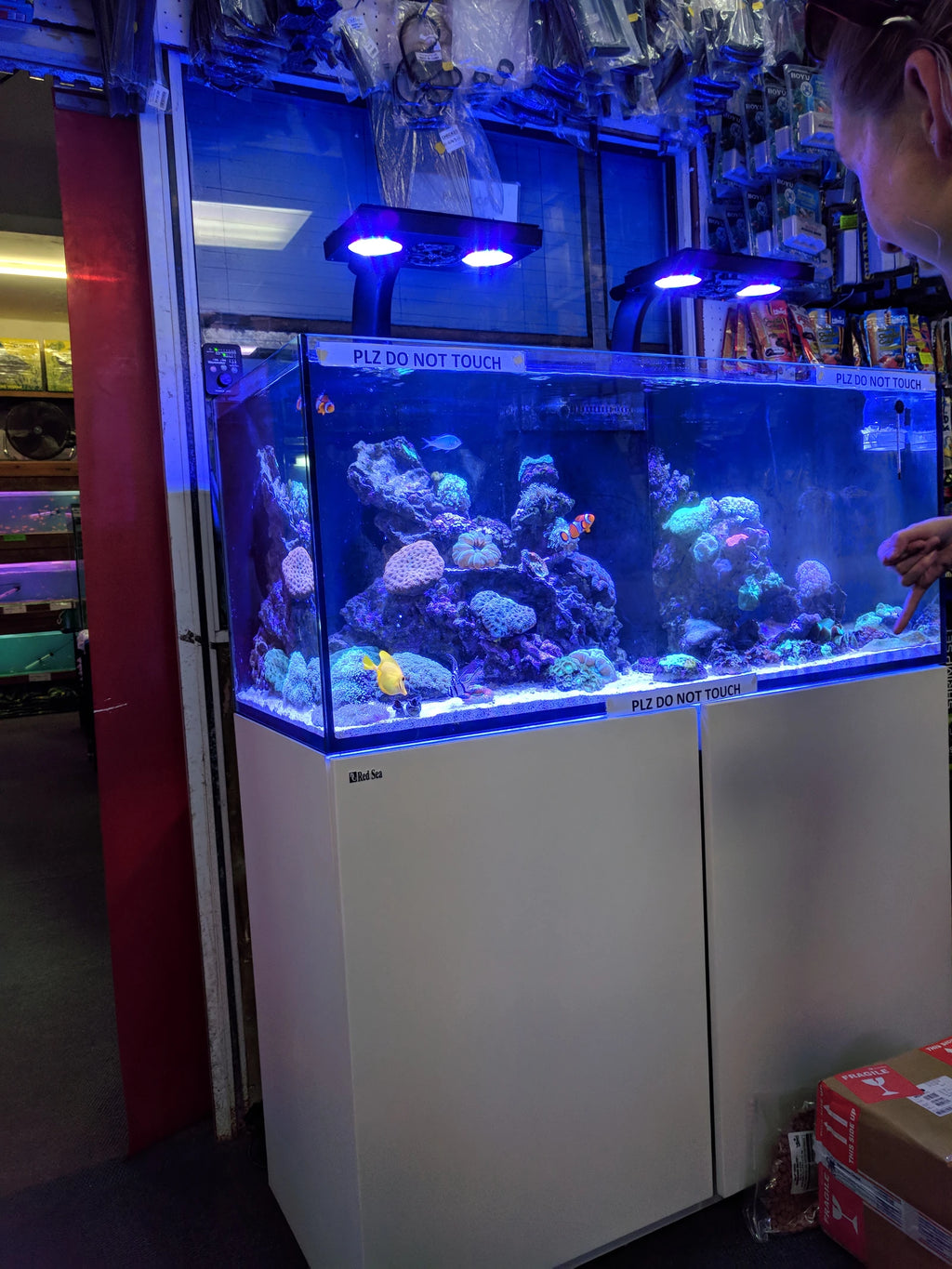 Sam's Aquarium, Cape Town South Africa