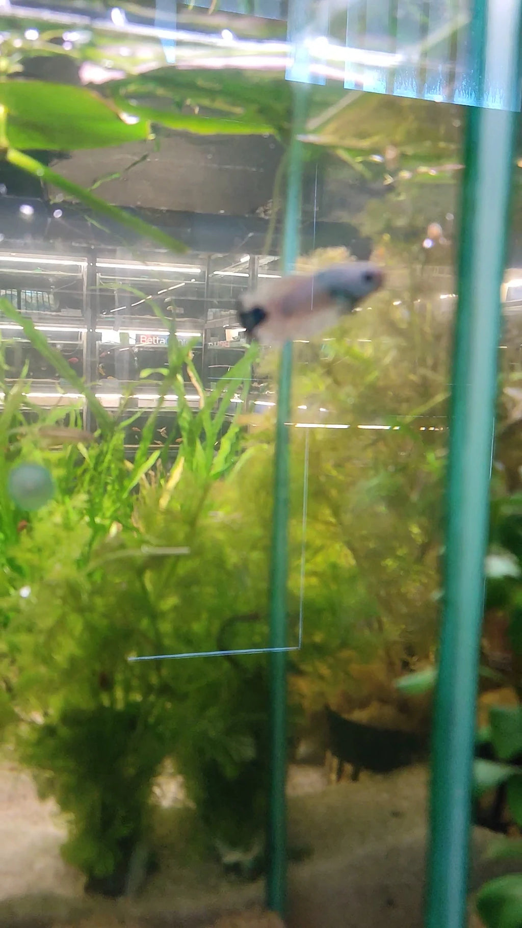 Sam's Aquarium, Cape Town South Africa