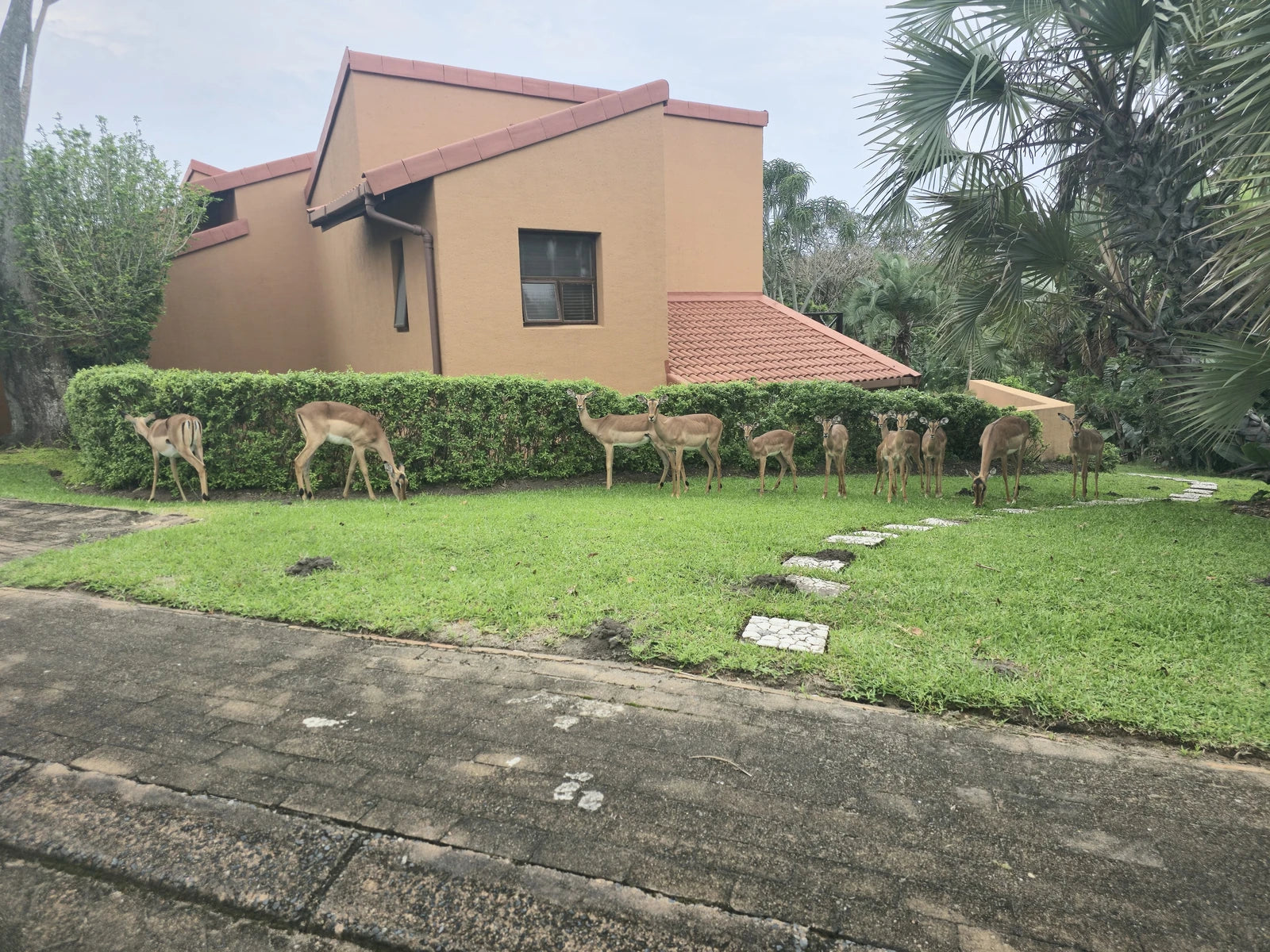San Lameer Estate, Southbroom South Africa