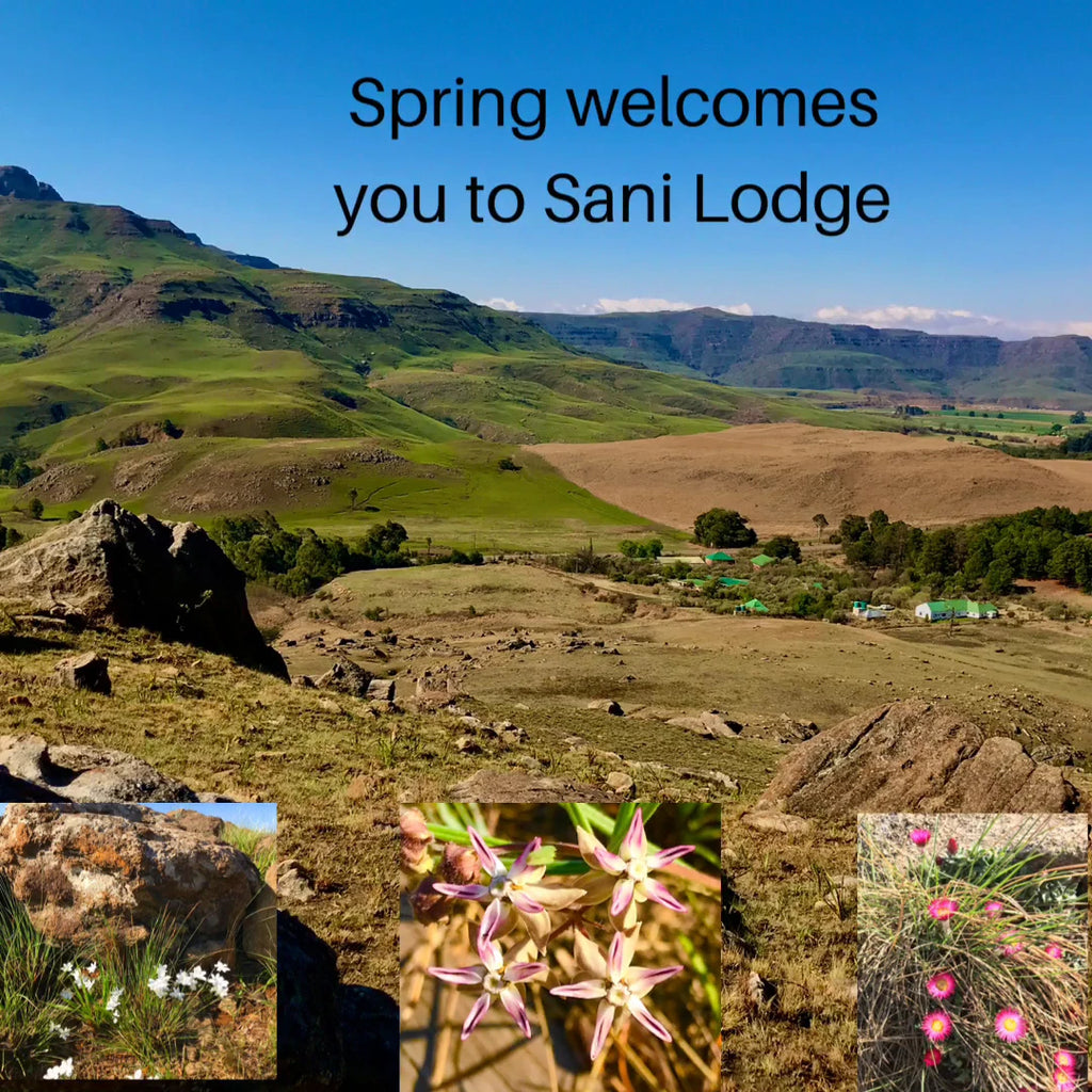 Sani Lodge & Cottages, Himeville South Africa