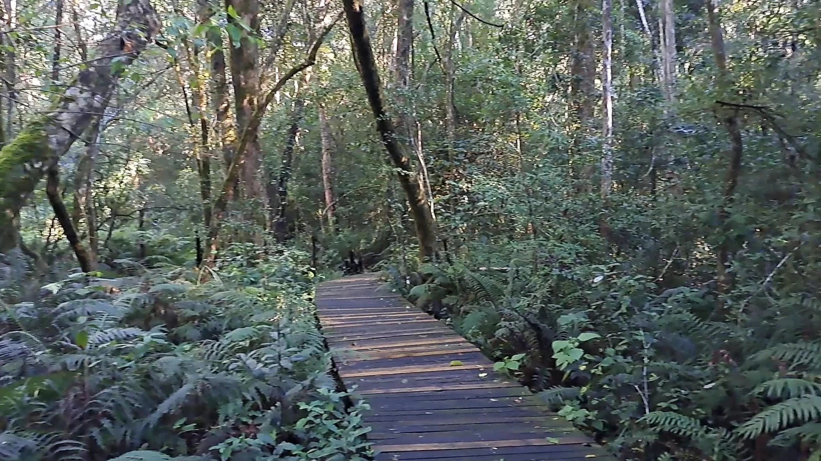 SANP Garden Of Eden, South Africa South Africa