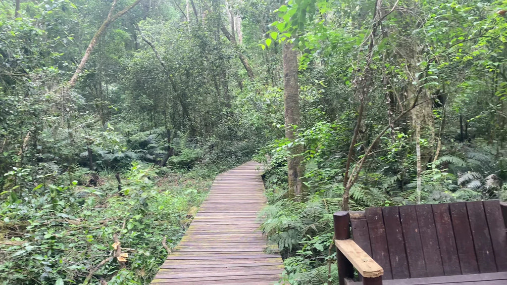 SANP Garden Of Eden, South Africa South Africa