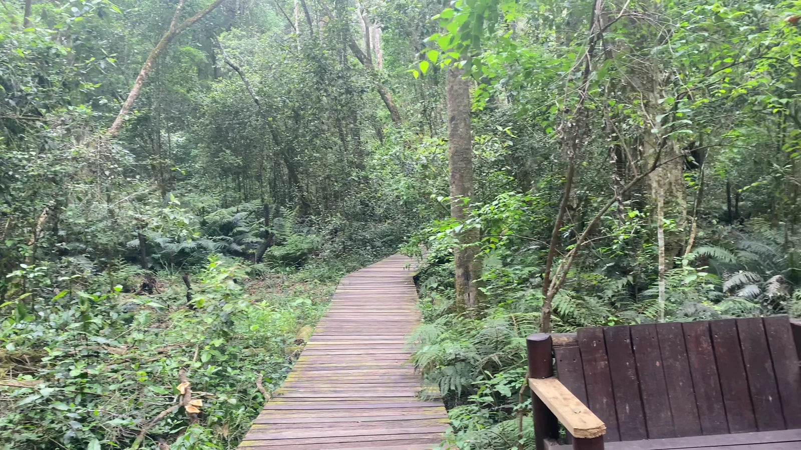 SANP Garden Of Eden, South Africa South Africa