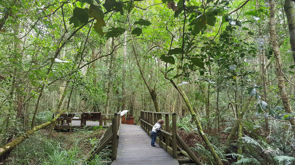 SANP Garden Of Eden, South Africa South Africa