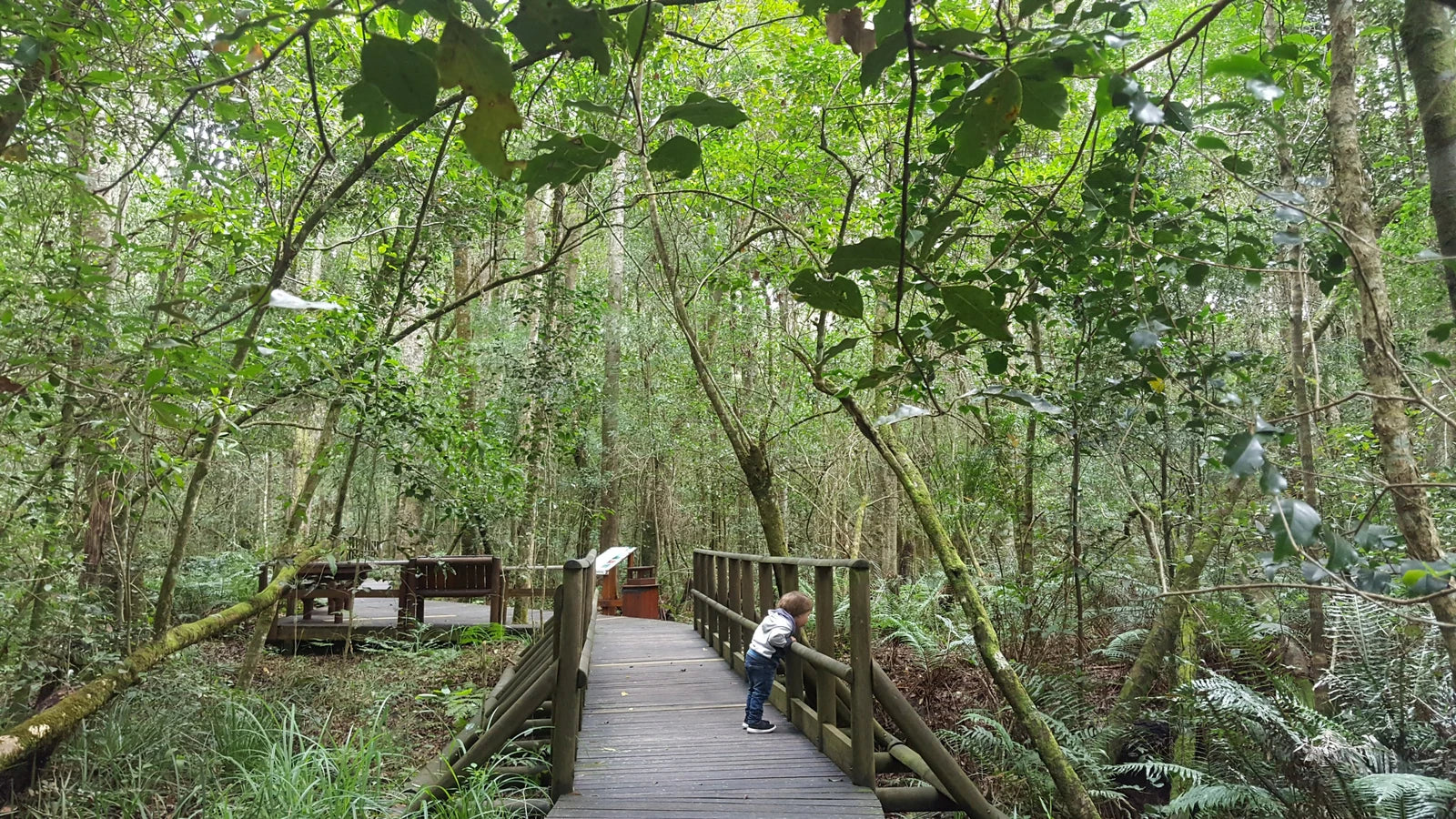 SANP Garden Of Eden, South Africa South Africa