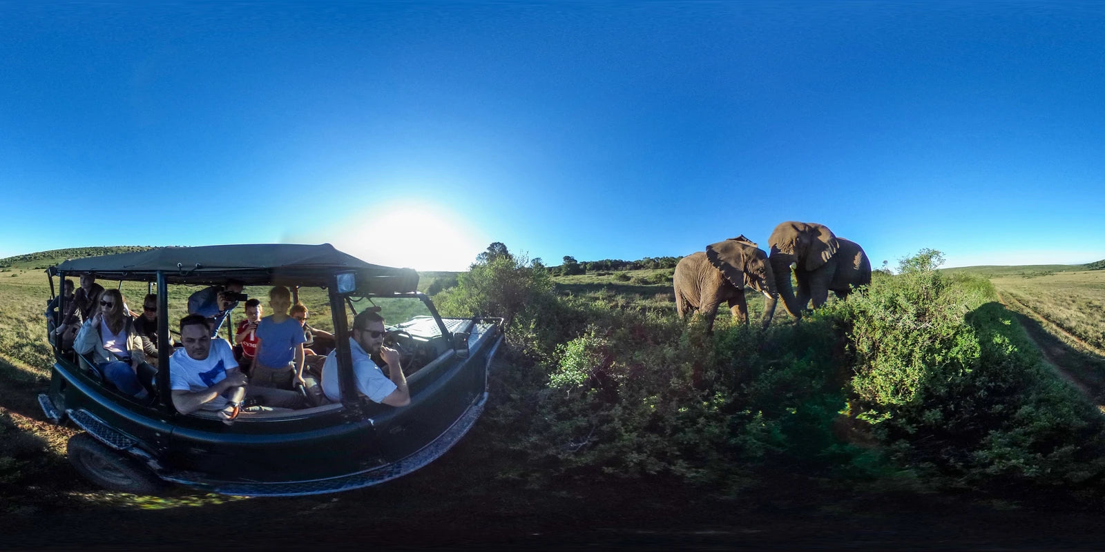 Schotia Safaris Private Game Reserve, Ncanarha South Africa