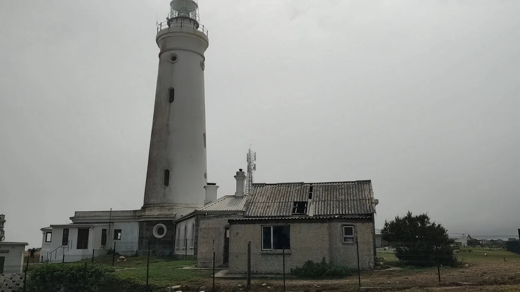 Seal Point Lighthouse, Cape St Francis South Africa