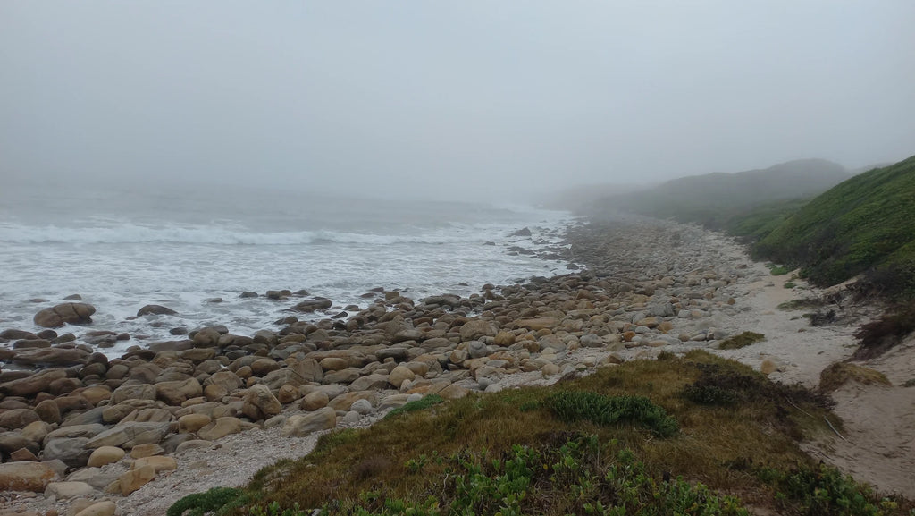 Seal Point Lighthouse, Cape St Francis South Africa