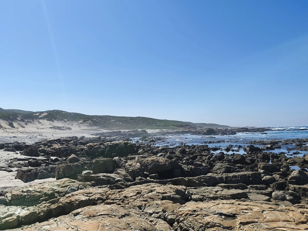 Seal Point Lighthouse, Cape St Francis South Africa