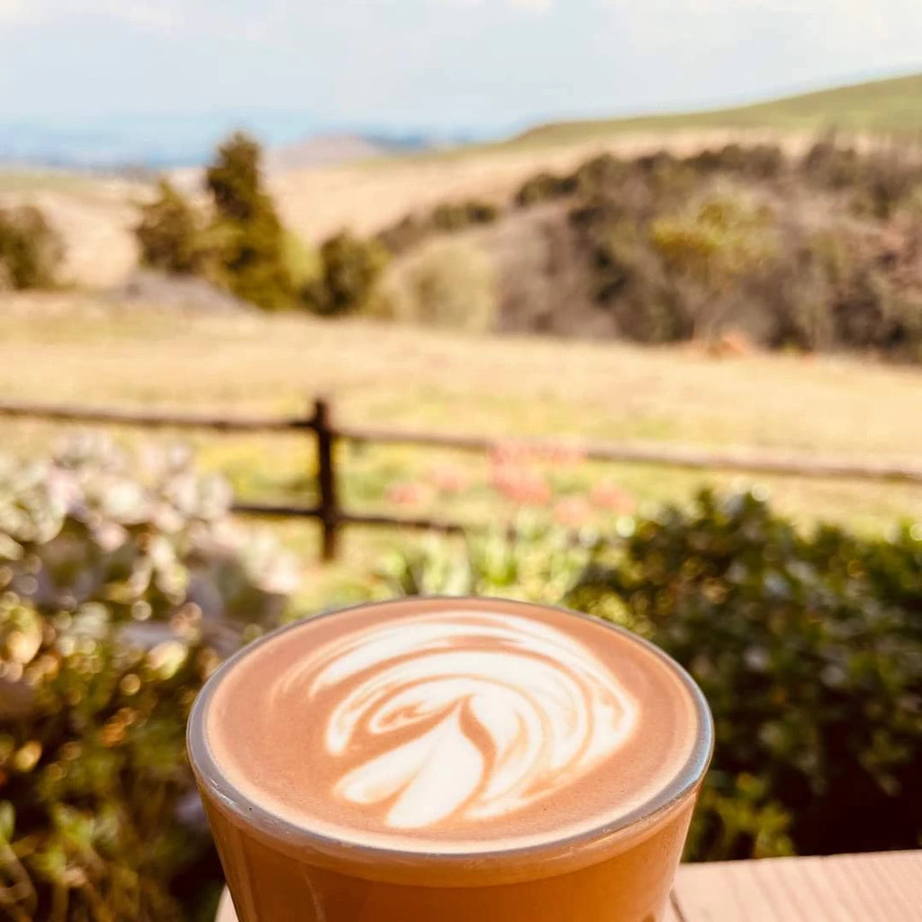 Sebah cappuccino, Johannesburg South Africa