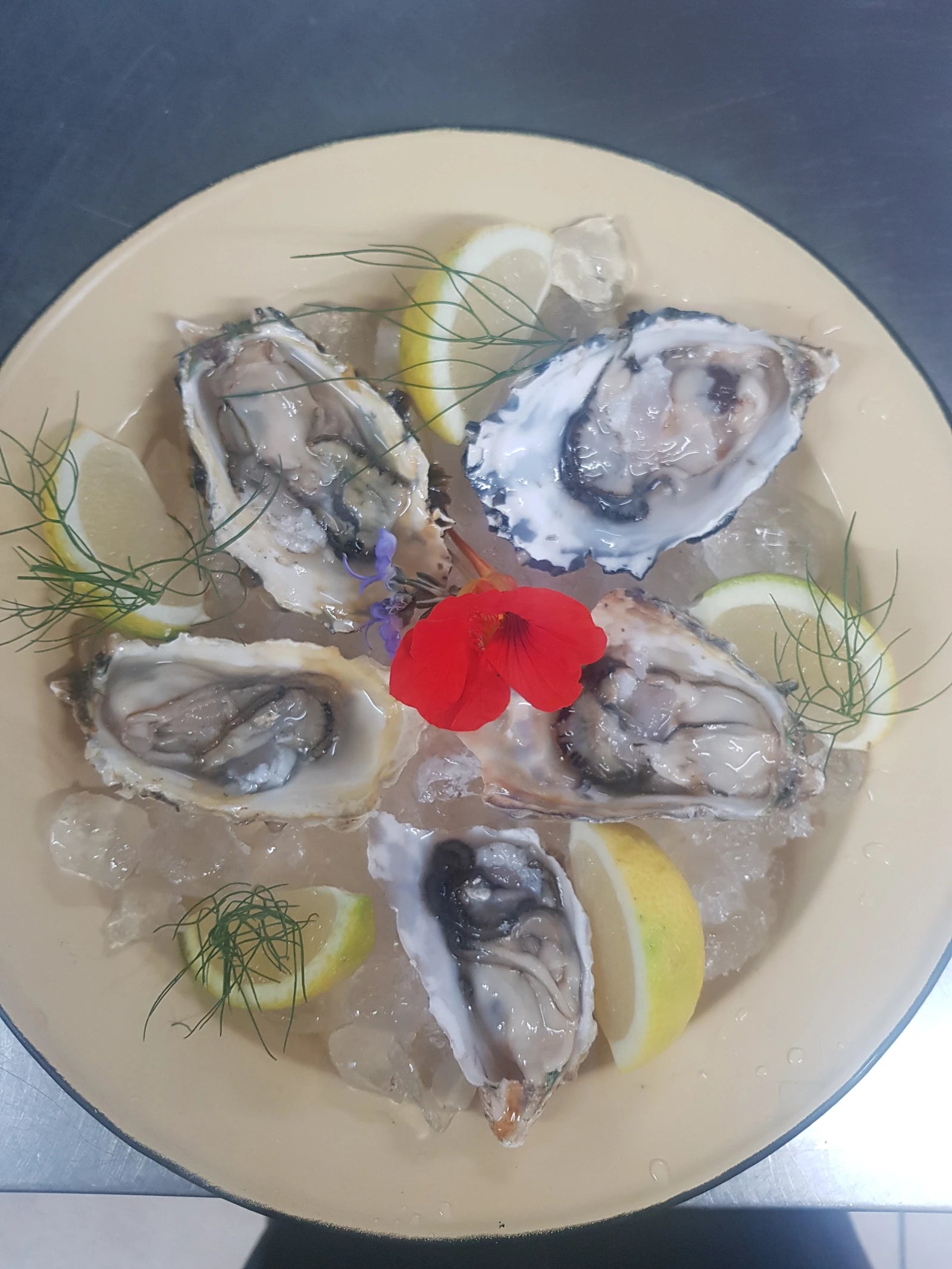 Seekombuis, Paternoster South Africa