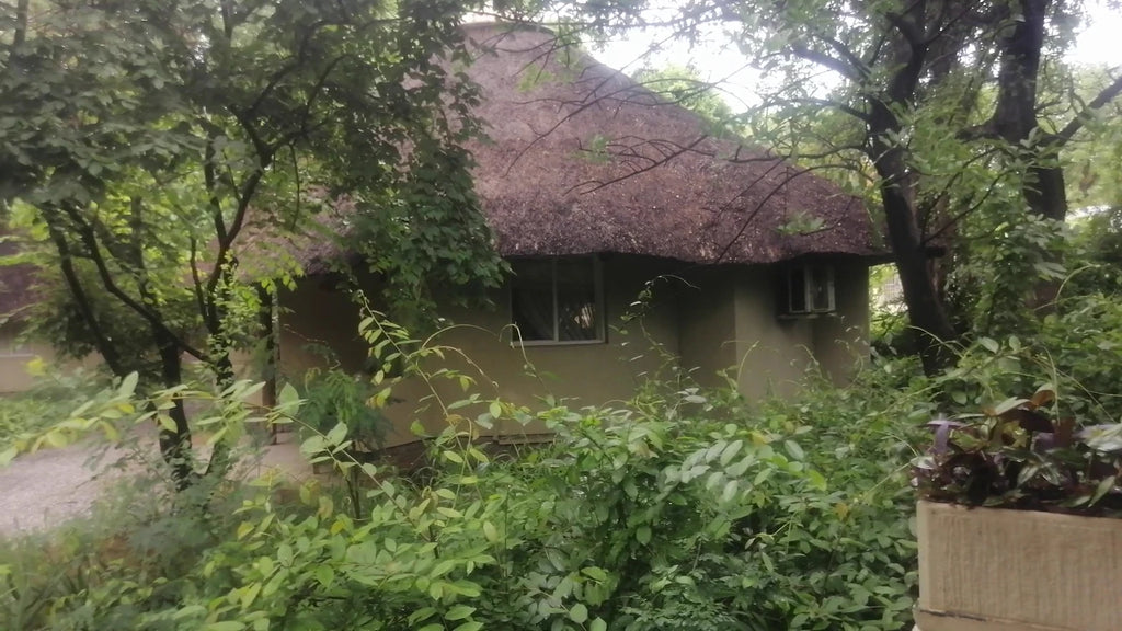 Sefapane Lodge & Safaris, Phalaborwa South Africa