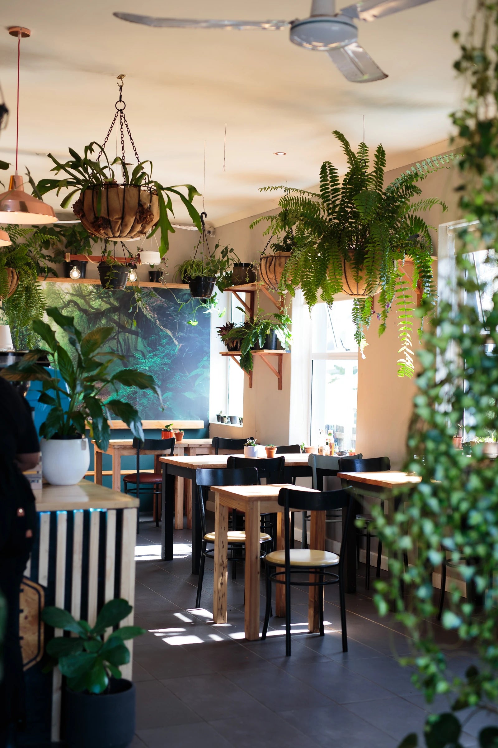 Selva Cafe & Co., Cape Town South Africa