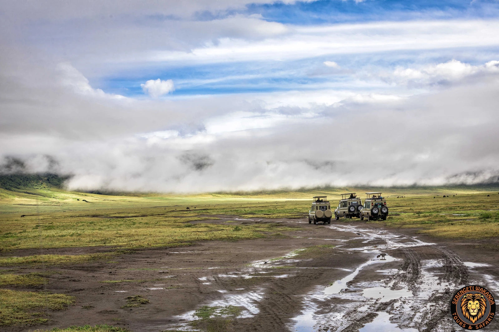 Serengeti Wakanda Tours and Safaris
