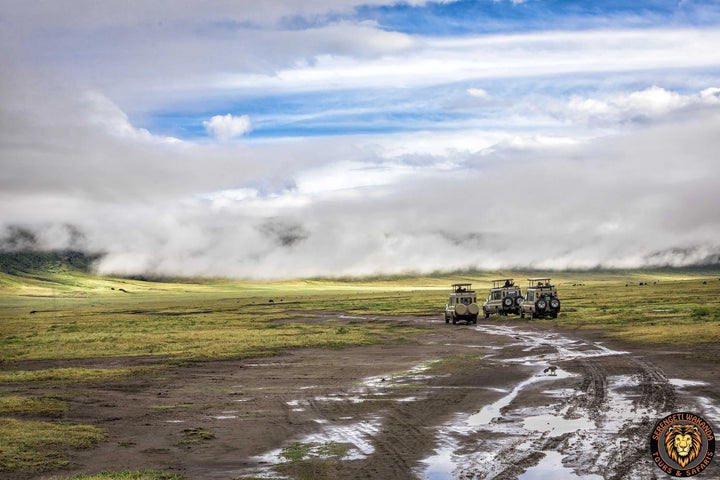 Serengeti Wakanda Tours and Safaris