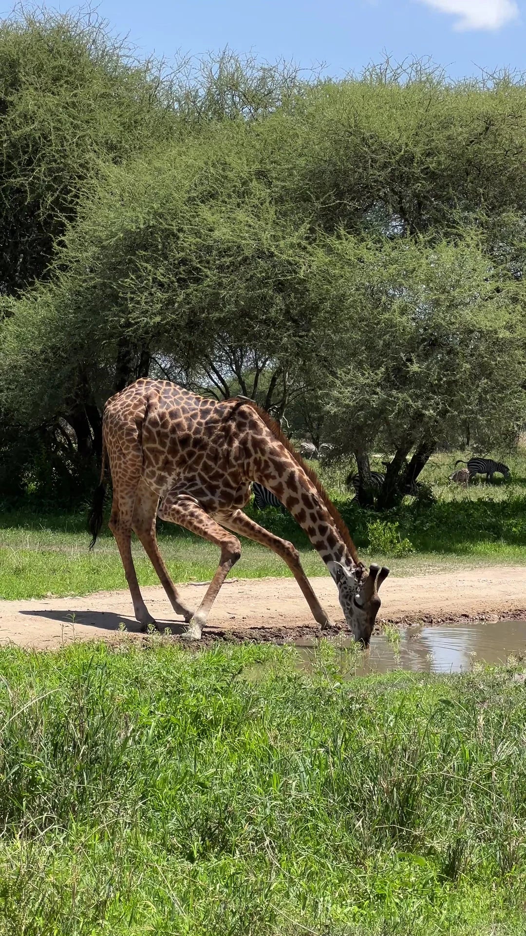 Serengeti Wakanda Tours and Safaris, Arusha Tanzania
