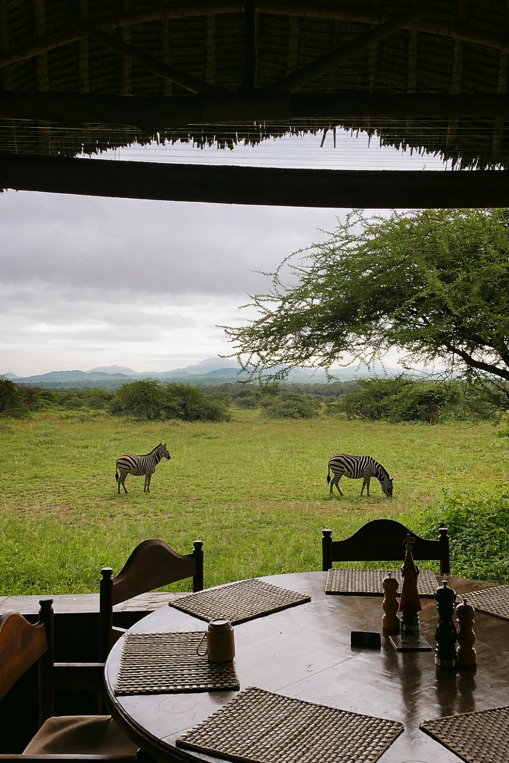 Severin Safari Camp, 
Kitani Wildlife Area Tsavo National Park Kenya
