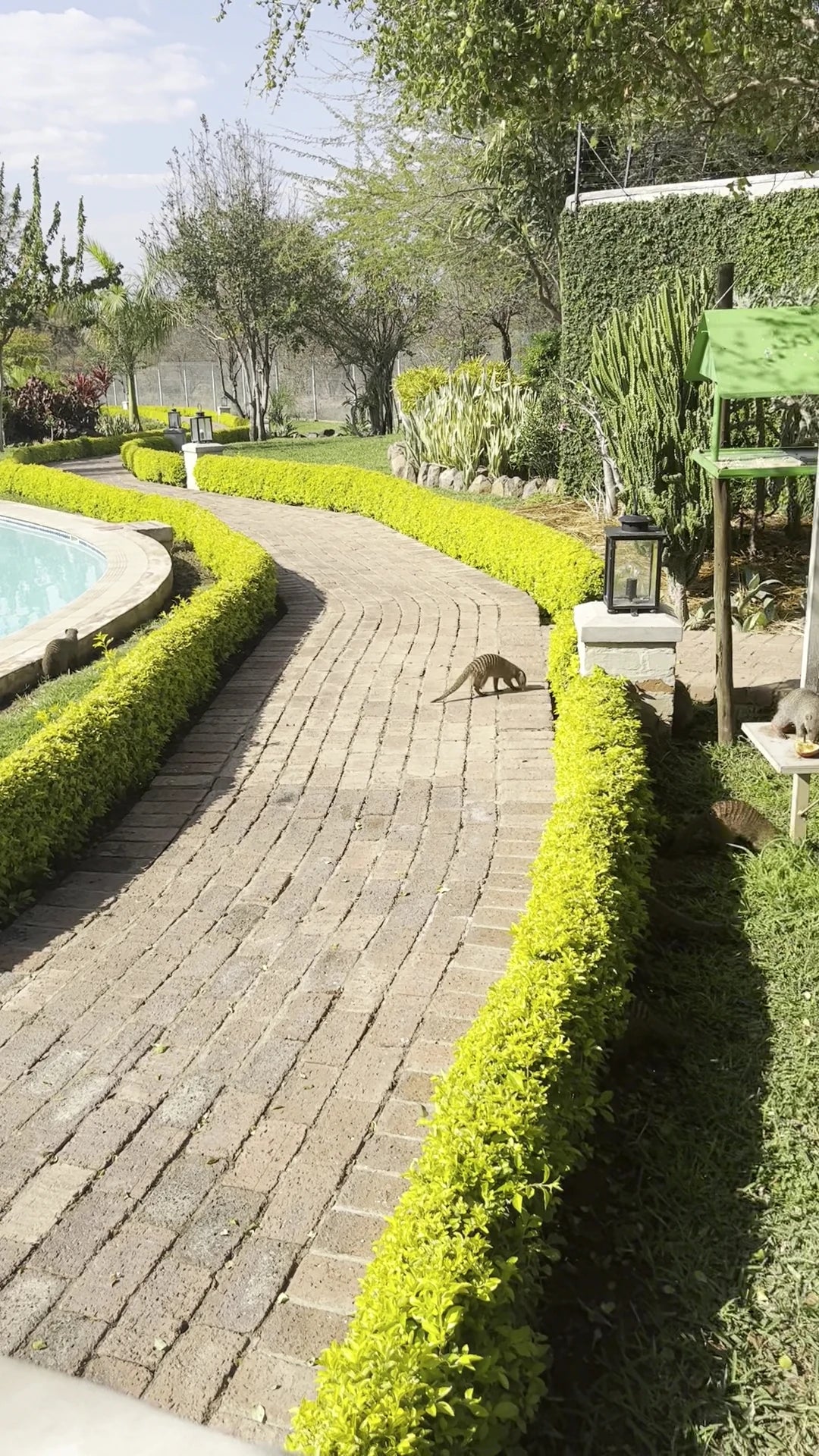 Shearwater Explorers Village, Victoria Falls Zimbabwe