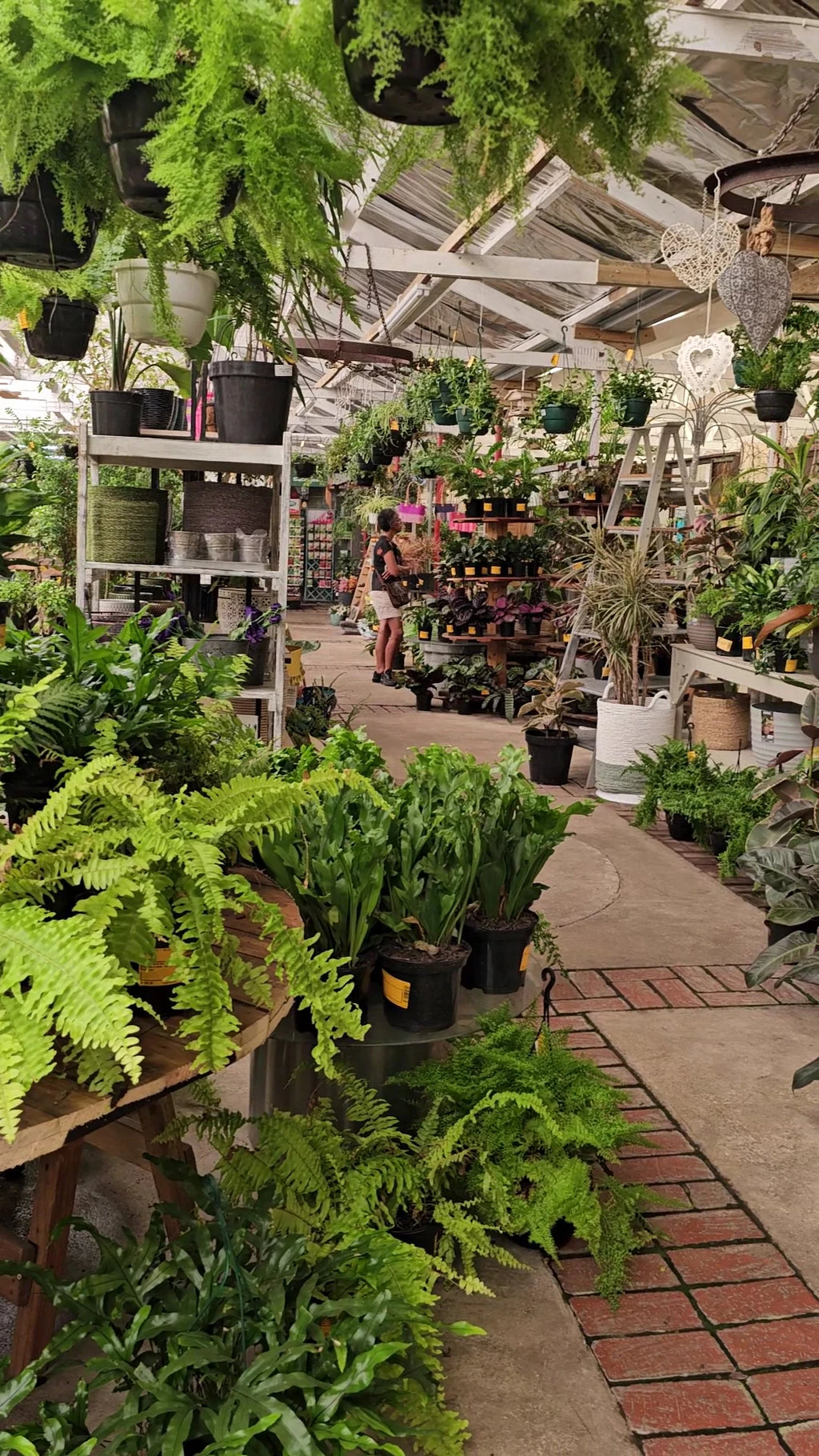 Sherwood Garden Centre, Gqeberha South Africa