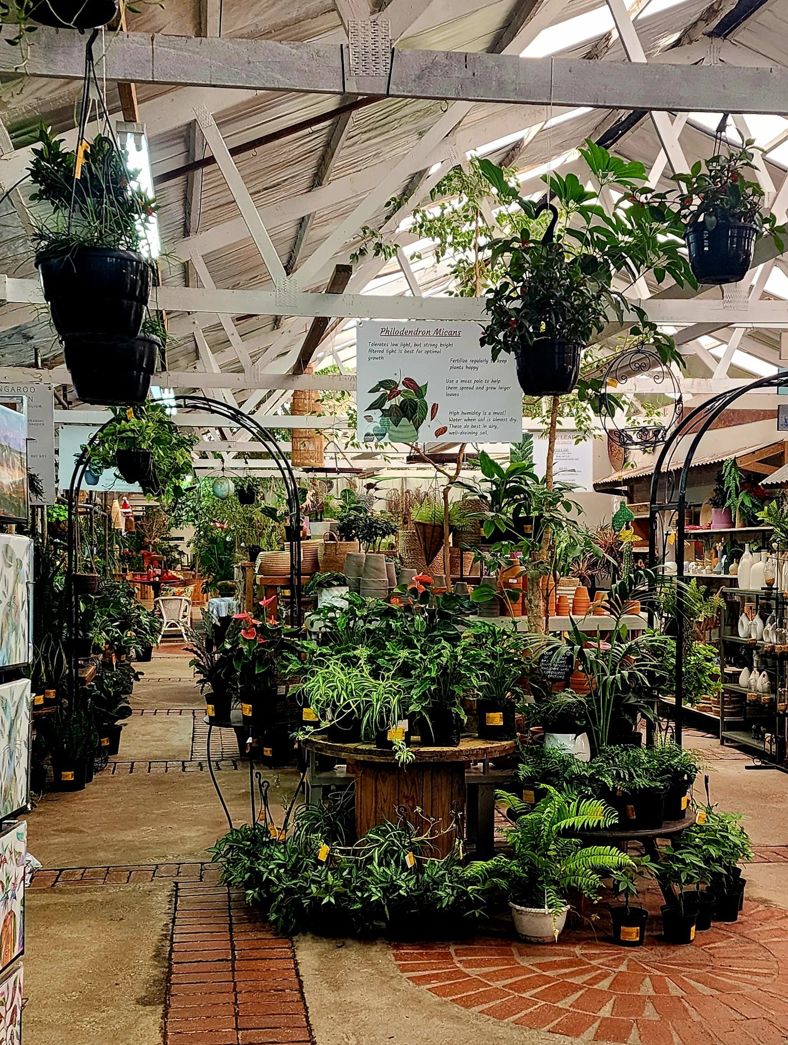 Sherwood Garden Centre, Gqeberha South Africa