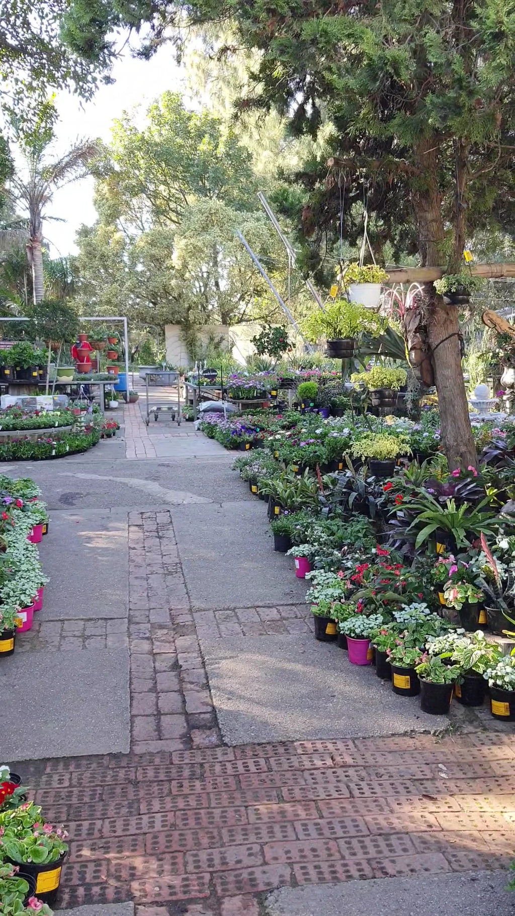 Sherwood Garden Centre, Gqeberha South Africa