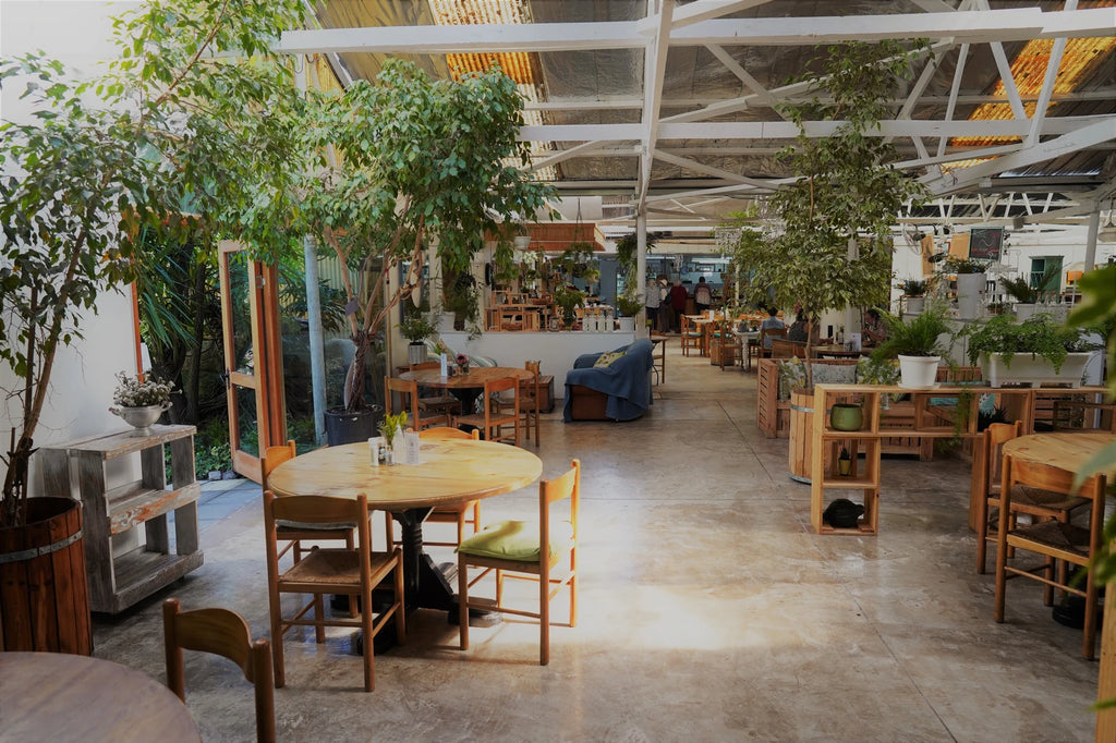 Sherwood Garden Centre, Gqeberha South Africa