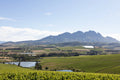 Simonsig Family Vineyards, Cape Town South Africa