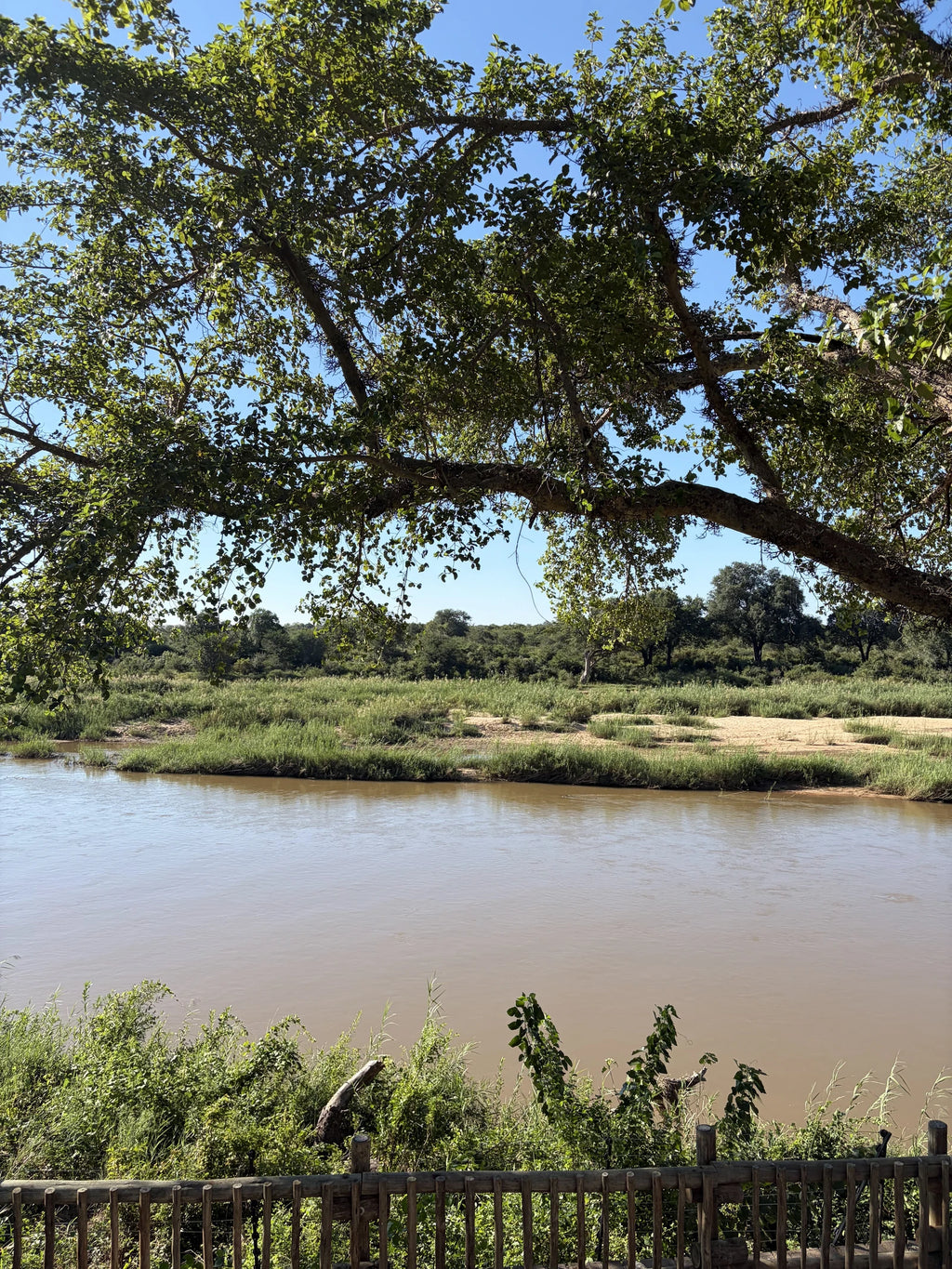 Skukuza Rest Camp, Skukuza South Africa