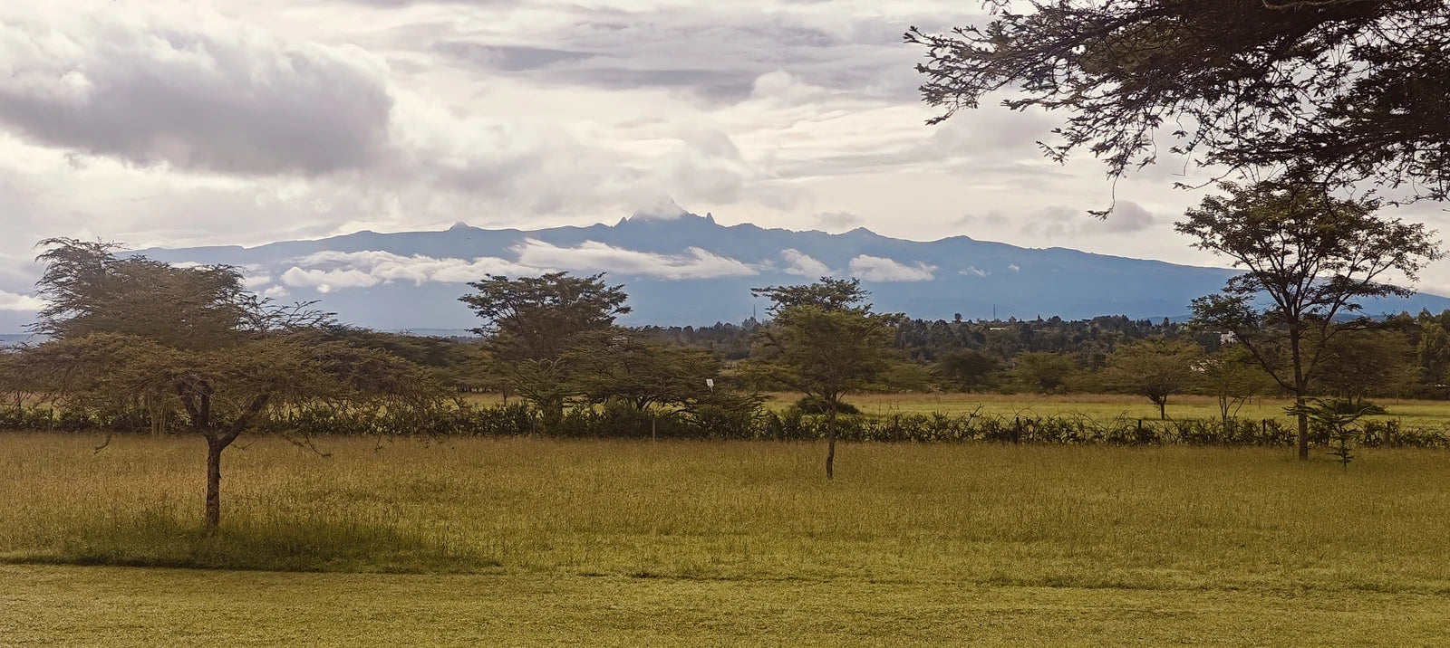 Soames Hotel, Nanyuki, Nanyuki Kenya
