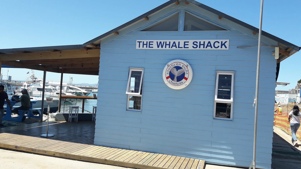Southern Right Charters, Hermanus South Africa